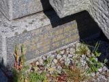 image of grave number 833517